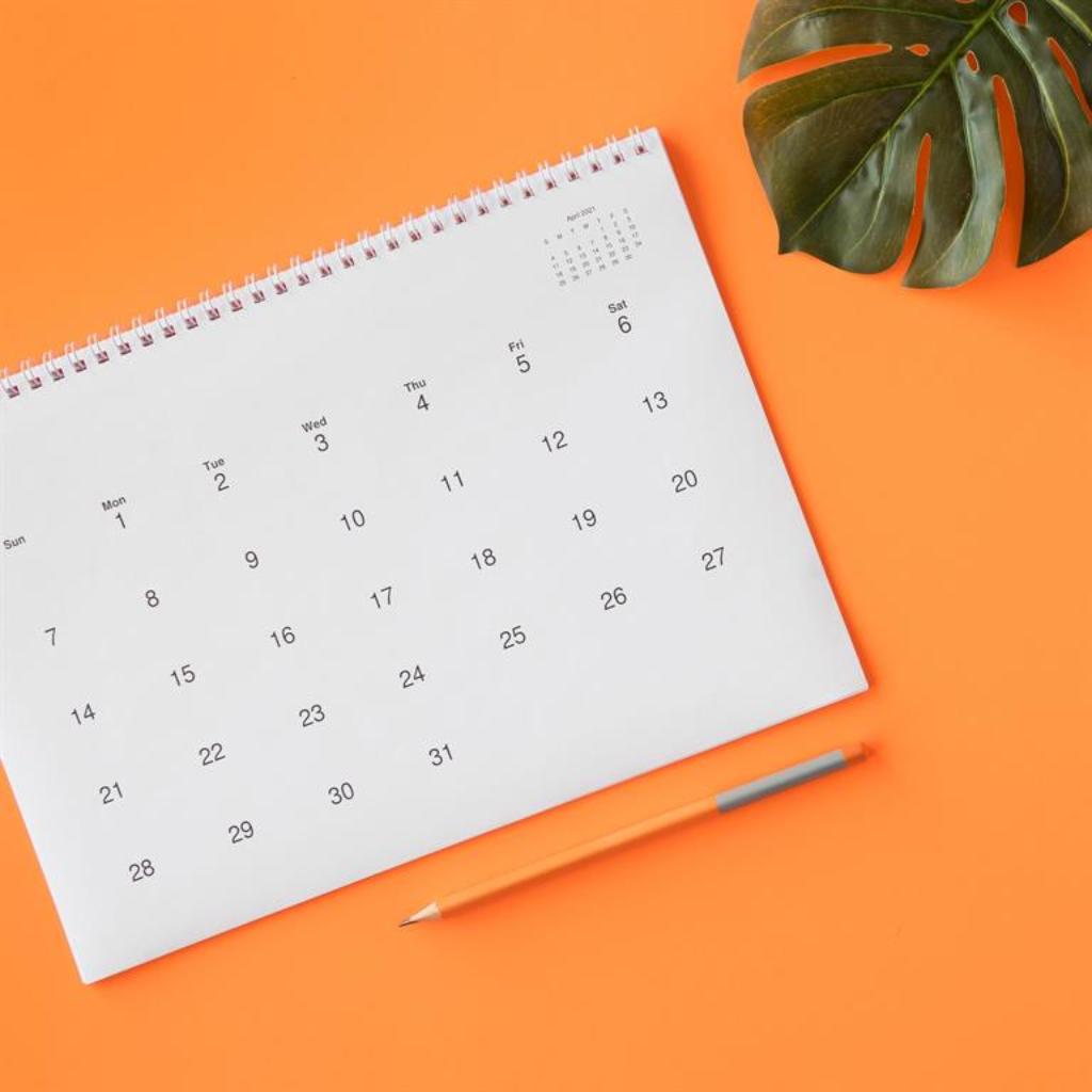 (c) Magnific